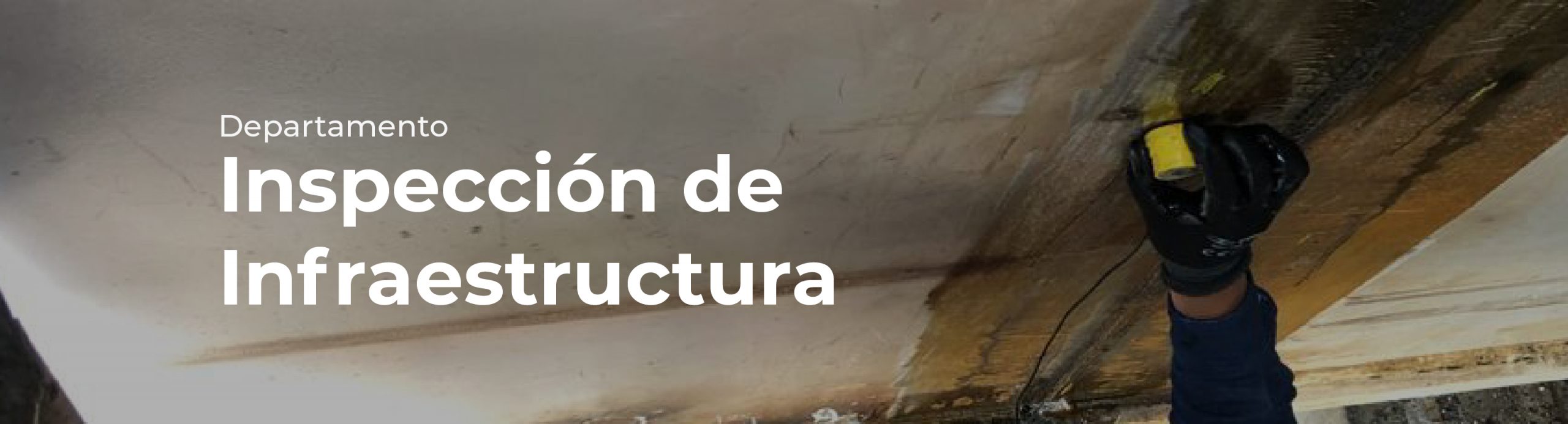 DISEÑO WEB_DIN_2025