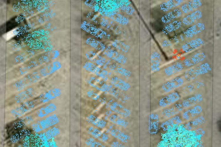 Imagen de WhatsApp 2025-06-26 a las 17.22.10_50657839