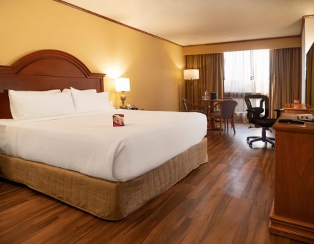 monterrey-crowne-plaza-hotel-photo-39